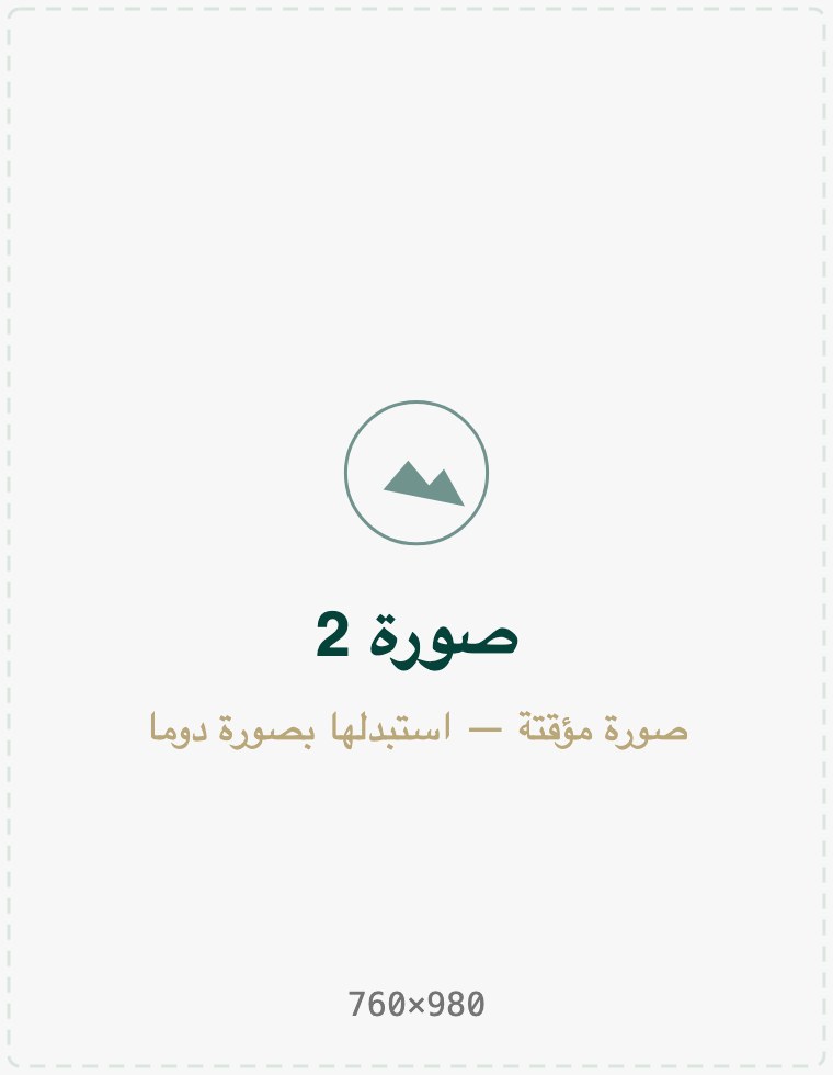 المدينة من الأعلى